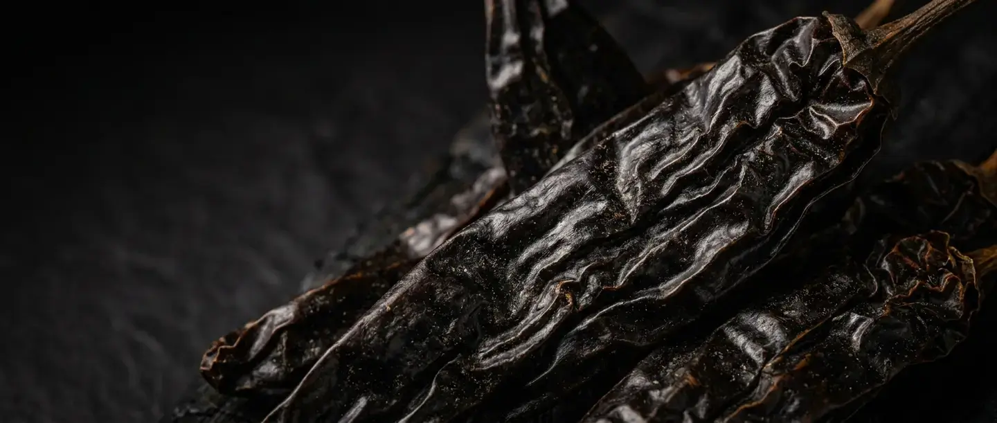 Textura de chile pasilla seco en acercamiento