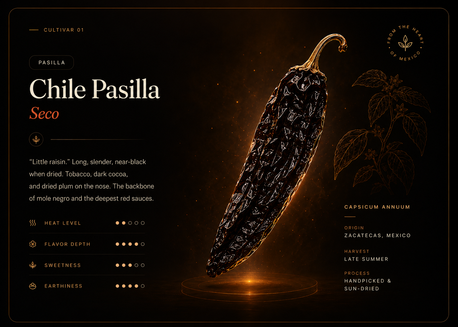 Chile Pasilla Seco — full cultivar spec sheet